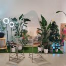 내촌애견 이미지