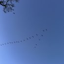 청명주유소 | 강화도 애견동반캠핑장 추천｜바다노을캠핑장’ 솔직후기 &amp; 추천(+정보)