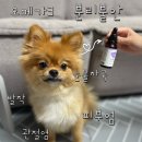 멍냥동물약국 이미지