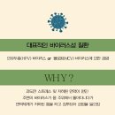펄스디 이미지