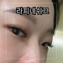 라피네 쉬끄 네이버블로그