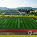 스포츠타운 인조잔디구장 Daum카페