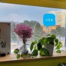 가온초등학교 앞 횡단보도 네이버블로그