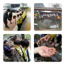 광판초병설유치원 이미지