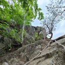 양산 토곡산(858m) 벙개산행 이미지