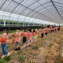 새미기픈믈유치원 이미지