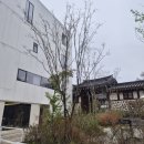 지금 여기 북촌 | 안국역 북촌 카페,로우루프 LOW ROOF휘겸재 한옥뷰 감성 카페 내돈내산