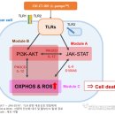 데이터디자인연구소 이미지