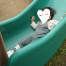 거북이 타코야끼 | [오키나와] 추라우미수족관, 비세후쿠길, 코우리대교후기 / 3일차