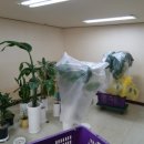 호정타워 이미지