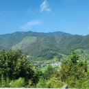 금산인삼랜드(통영) 이미지