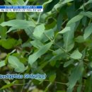 명신농장 네이버블로그