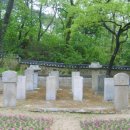 중앙동 온온사 옆 이미지