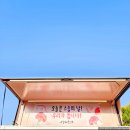 효명중학교 이미지