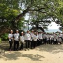 안동시민운동장 이미지