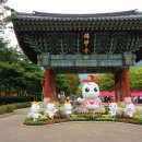 불갑사관광지 주차장 이미지