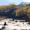 (유)동부렌트카 이미지