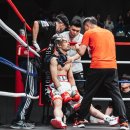 머스트윈 이미지