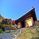 칠장사 입구 이미지