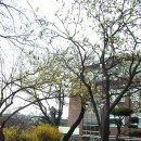 천안고등학교 이미지