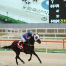 드림축산 - 영천시 창신1길 25 | 드림축산