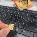 벚꽃 아래서 즐기는 바삭한 꽃 주당부리 팝꽃 솔직 후기
