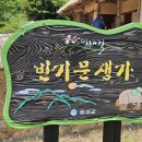 비채길 이미지