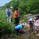 마차초등학교 이미지