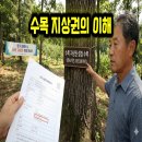 수목 지상권 뜻, 5분이면 이해되는 완벽 가이드 이미지