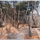 금오산사거리 이미지