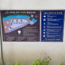 둥지펜션 야영장 이미지