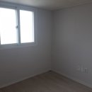 신사동-21 이미지