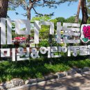 "서울대공원 테마가든 '장미원'을 찾아서"＜2024.05.14(화)＞ 이미지