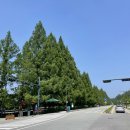 봄날의 담양 민박 | 담양 여행 :: 1박 2일 맛집 후기, 에어비앤비 다담 한옥민박 추천