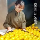 훈이네농장 이미지