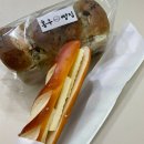 광주 첨단 빵집 맛집 홍구빵집 아티장홍 버터브레첼 홍구식빵 후기