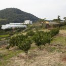 하례2리 이미지