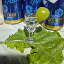 재미난소프트 이미지