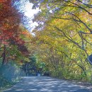 무주 구천동계곡 어사길 1구간 탐방= 2.7km 소요 시간: 왕복 약 2시간 30분 이미지