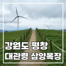 현정목장 이미지