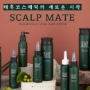 태후사랑헤어 - 달서구 | 태후사랑헤어