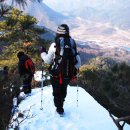 윗사기막 이미지