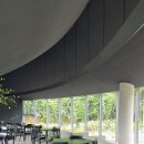 아셉오어 이미지