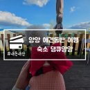 댕큐양양 이미지