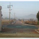 정미초등학교 Daum카페