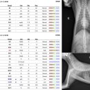 영인동물병원 이미지