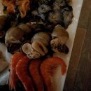 속초대게축제 | 속초 대포항대게 축제만큼 짜릿한 신선함, 이곳에서 인생 자연산 회를 맛보다!