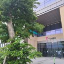 T타워 이미지