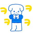 바비애견미용 이미지