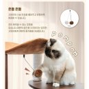 🐱 [광고]고양이 용품 추천 (내돈내산 필수템 3가지 솔직후기)